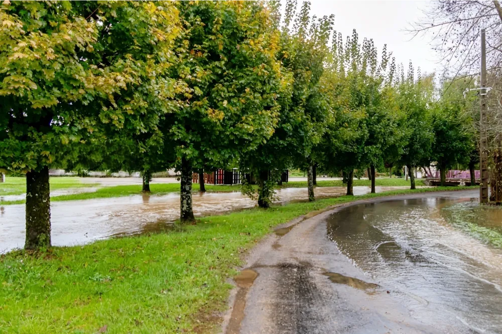 Sinistre inondation Grand Est